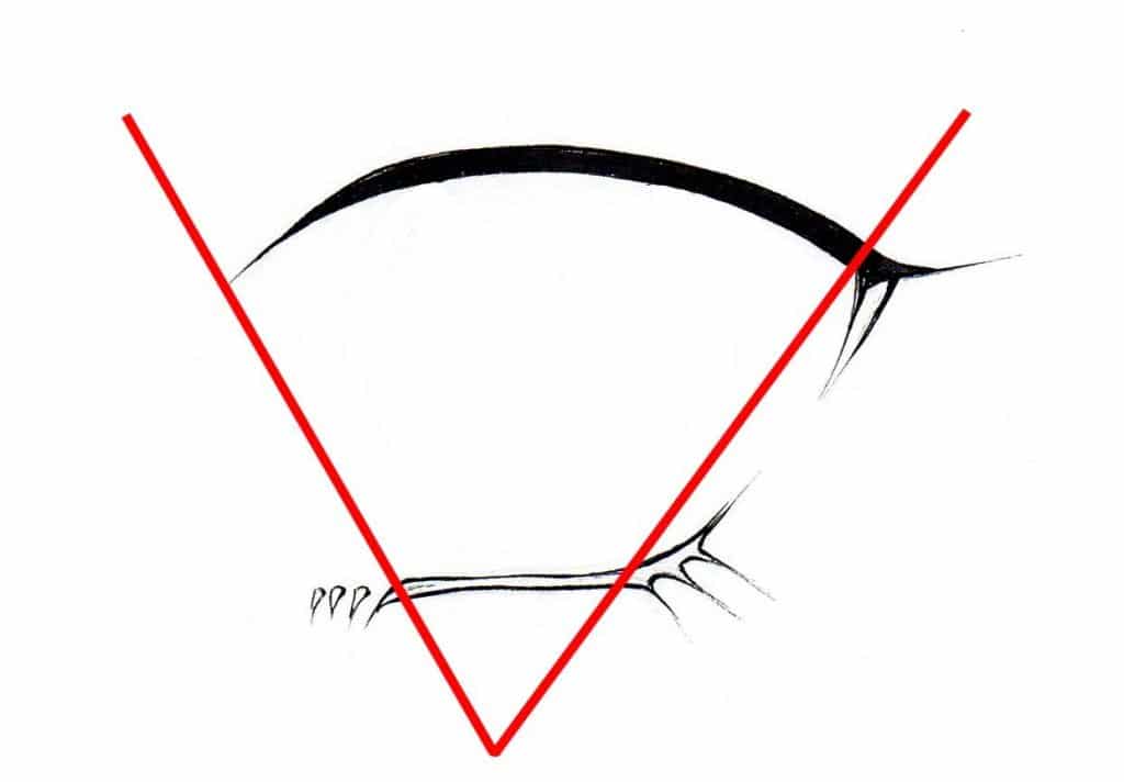 Como Desenhar Olhos Masculinos De Anime e Mangá Passo a Passo  Desenho de  olho de anime, Tutoriais de desenho de rostos, Olhos desenho