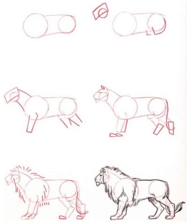 8 ideias de 1  desenho de animais, desenho de macaco, esboços de animais