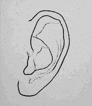 como desenhar orelhas