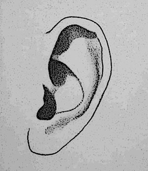 como desenhar orelhas