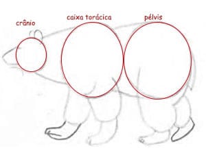 Fáceis Ideias de Desenhos de Esboços de Animais – Eu Geek